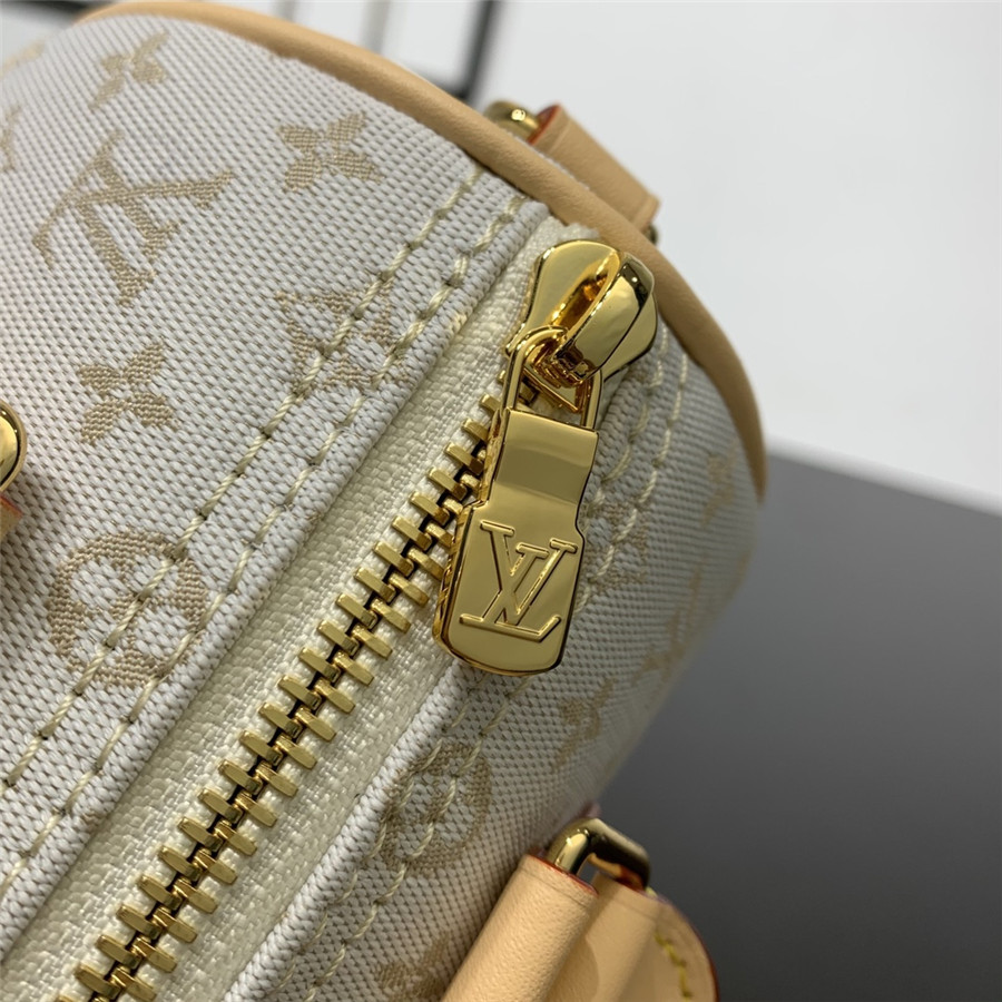 l0vis Vvtt0n lv speedy bandouliere 20 bag