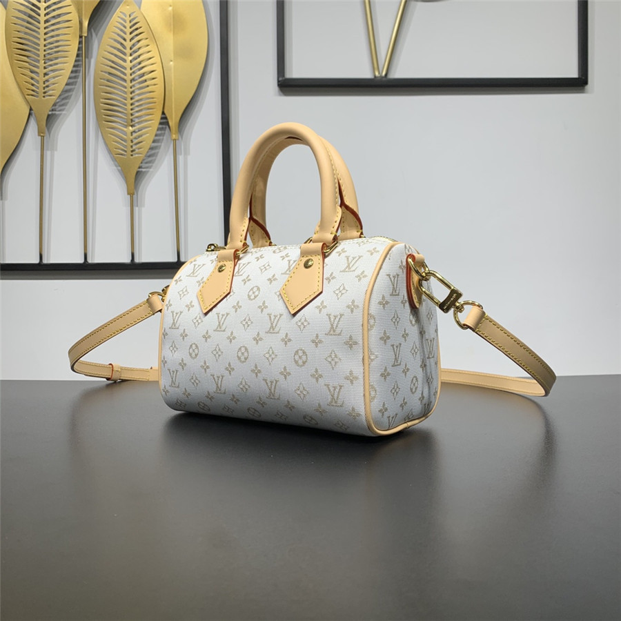 l0vis Vvtt0n lv speedy bandouliere 20 bag
