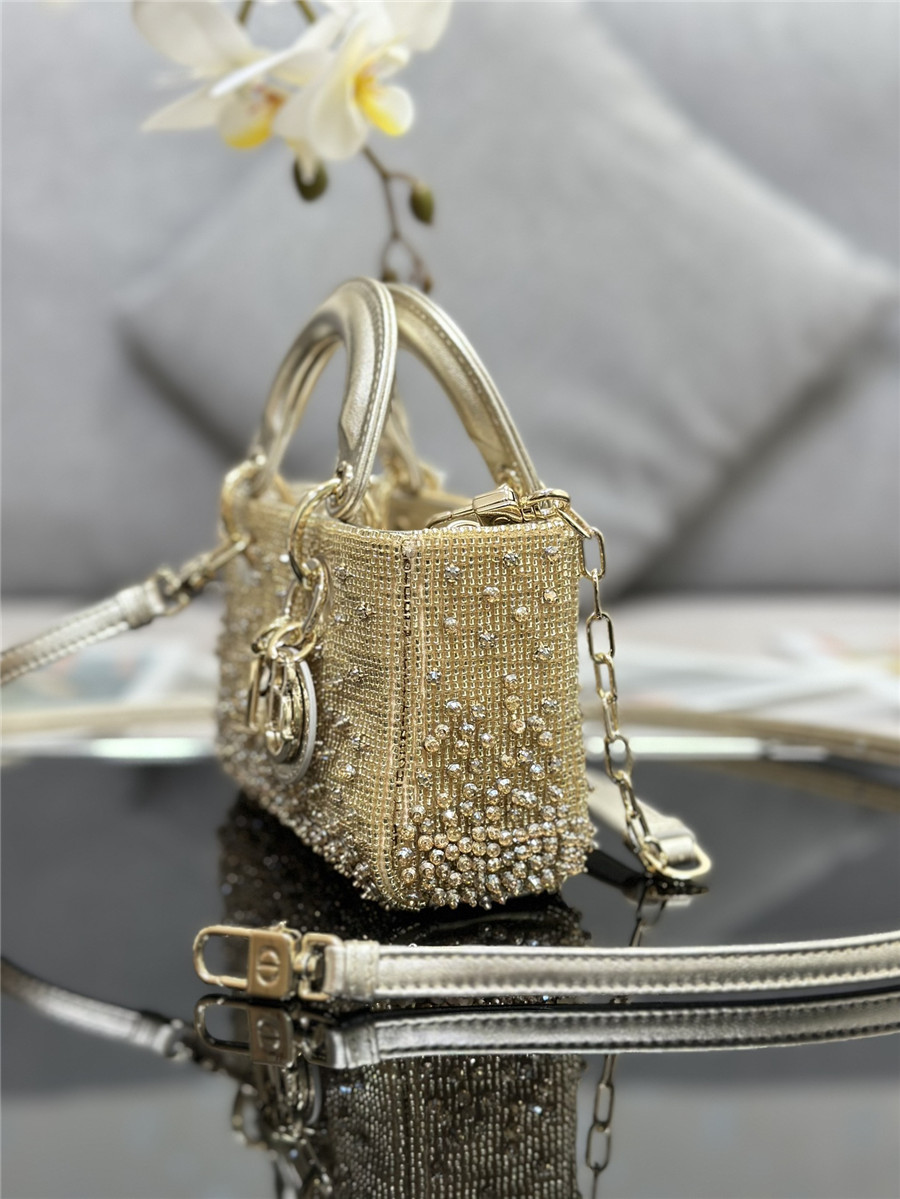 D10r lady d-joy mini embroidered beaded bag