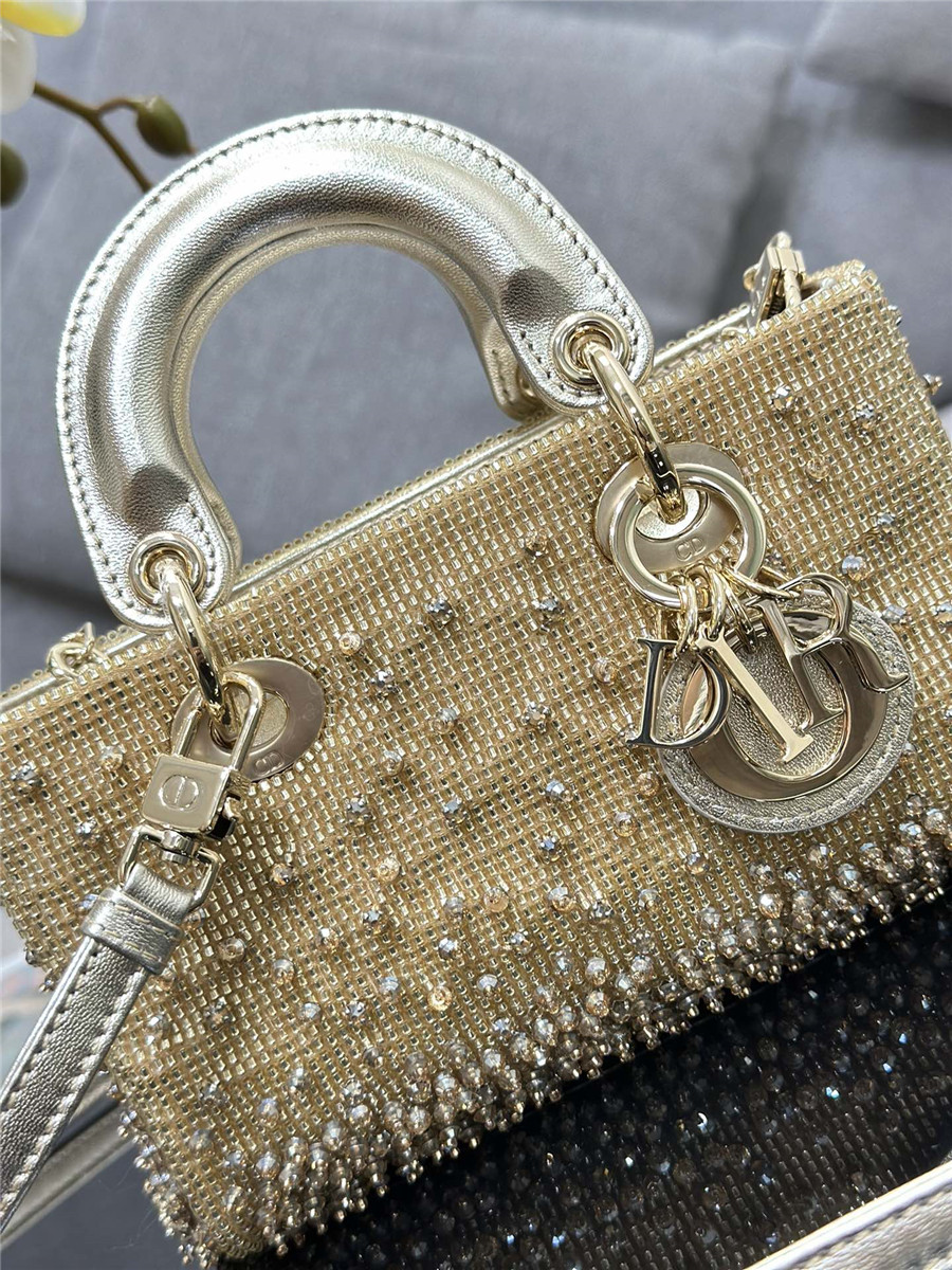 D10r lady d-joy mini embroidered beaded bag