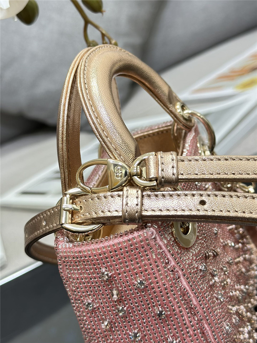 lady D10r mini embroidered beaded bag
