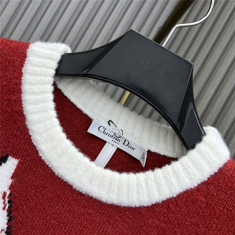 d10r D1am0nd crew neck sweater