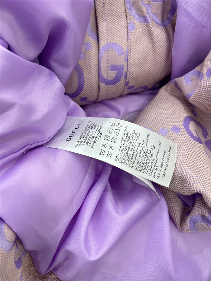 Gvc*1 new hooded down jacket