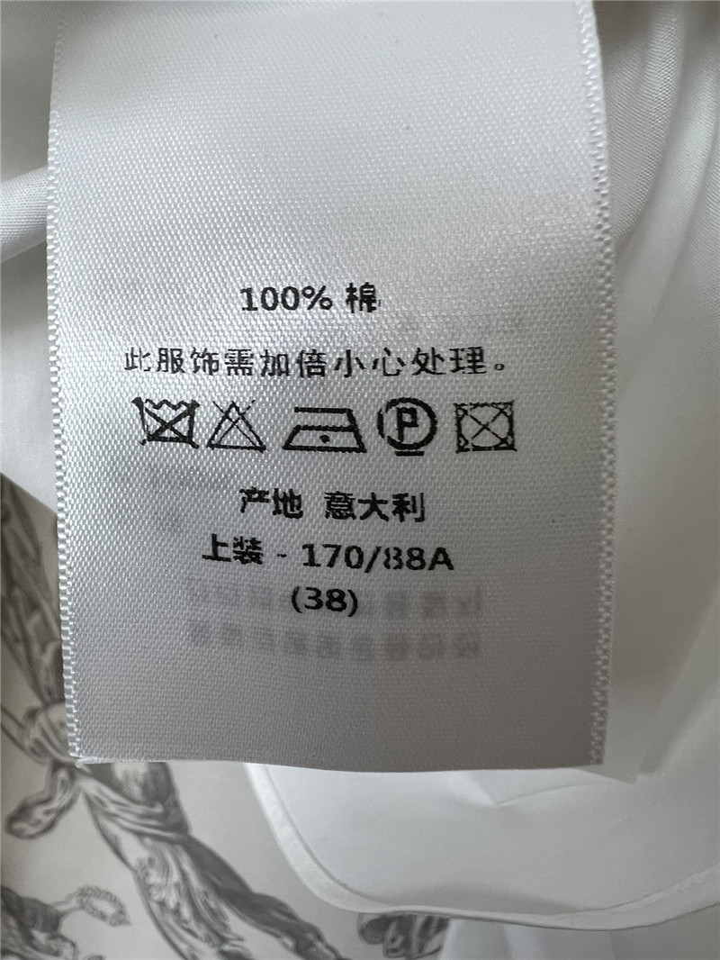 D10r butterfly embroidered stand collar puff sleeve shirt