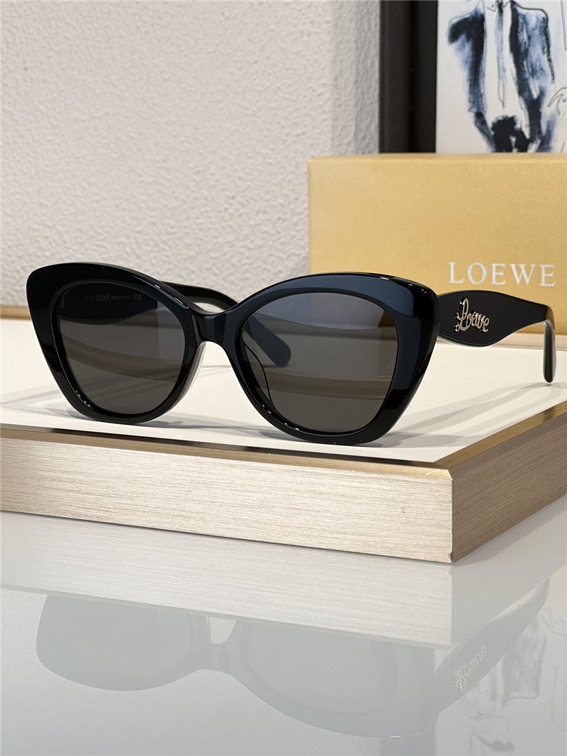 L0ew* fashionable luxury sunglasses