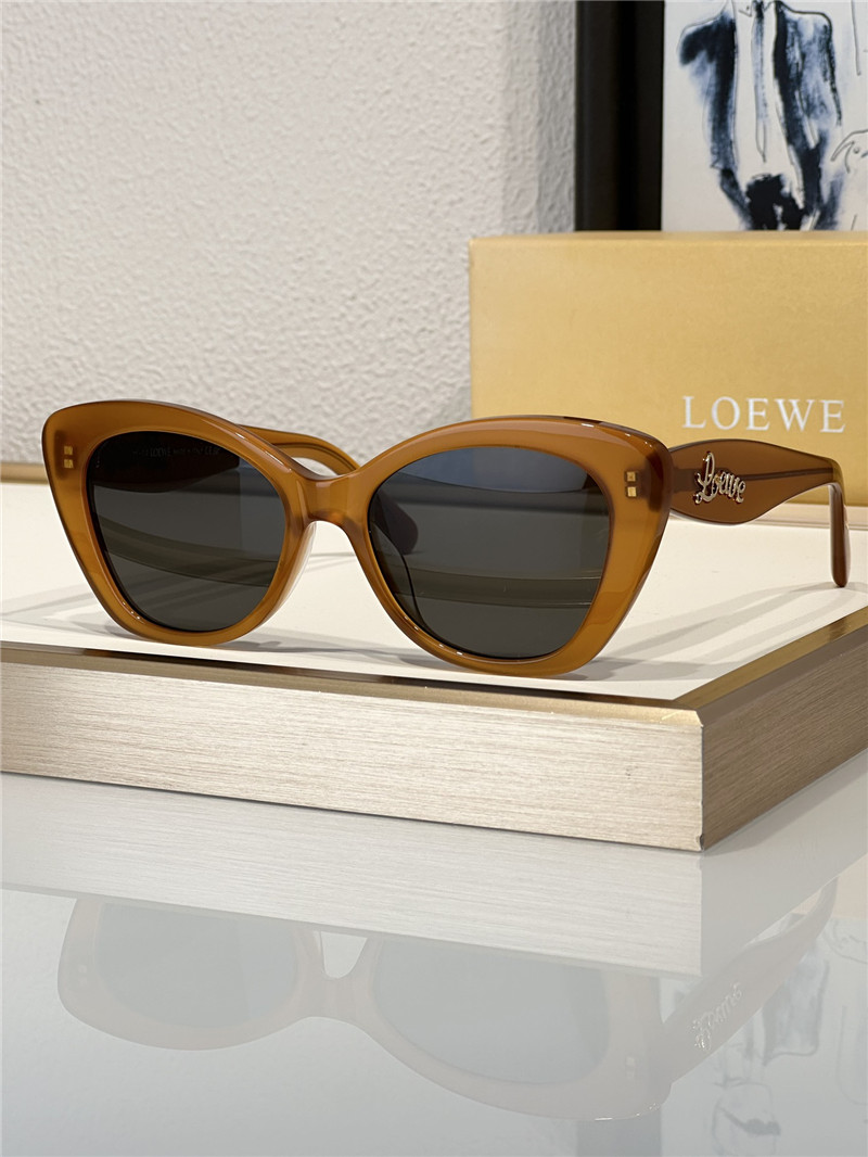 L0ew* fashionable luxury sunglasses