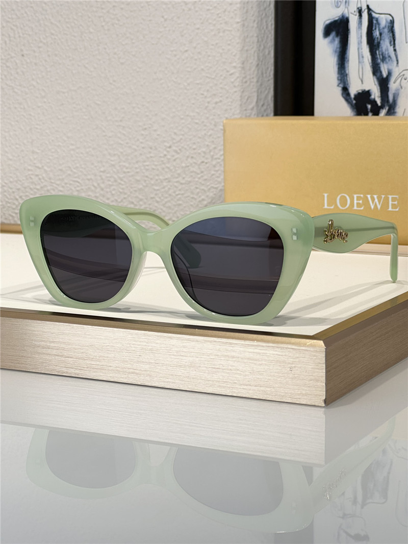 L0ew* fashionable luxury sunglasses