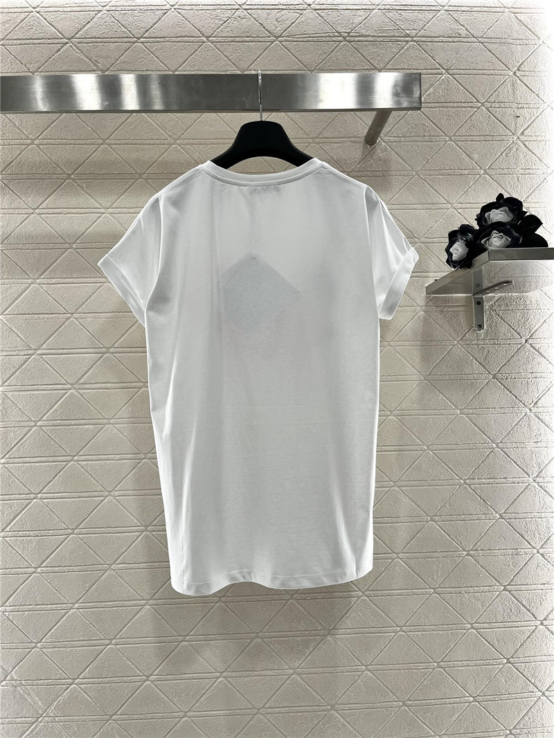 Balmain red-crowned crane print T-shirt replica designer clothes