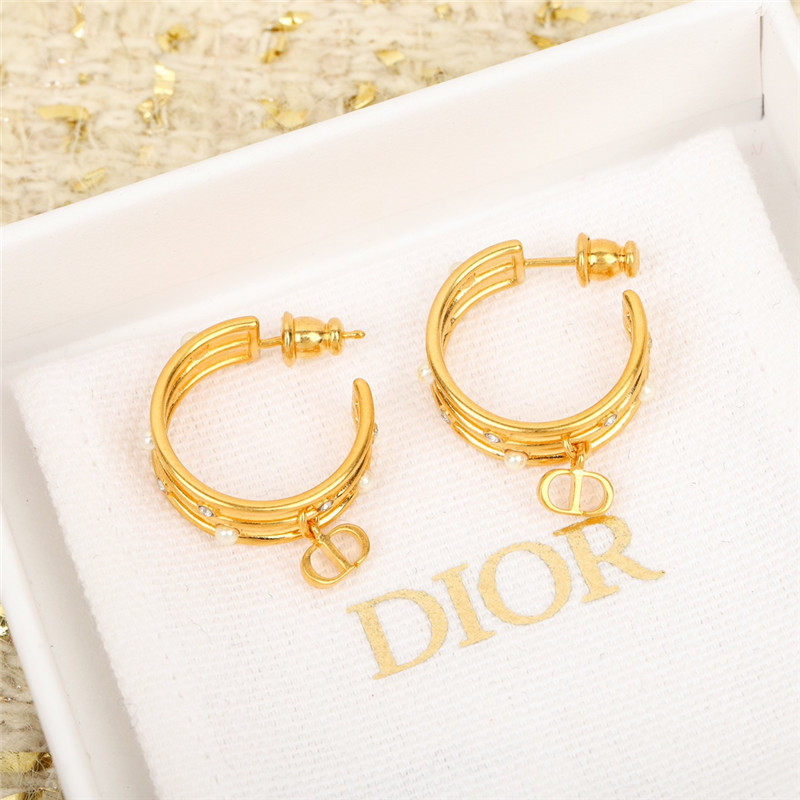D10r letter earrings