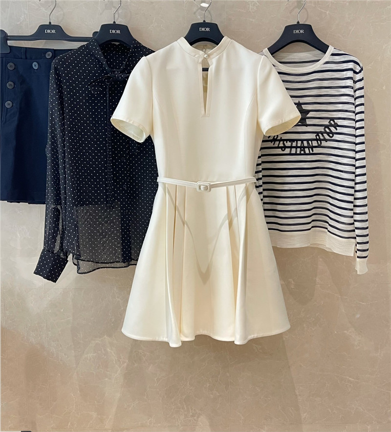 D10r classic waist skirt dress replica clothes
