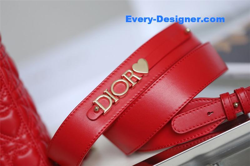 lady D10r my abcD10r bag