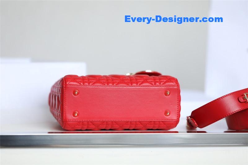 lady D10r my abcD10r bag