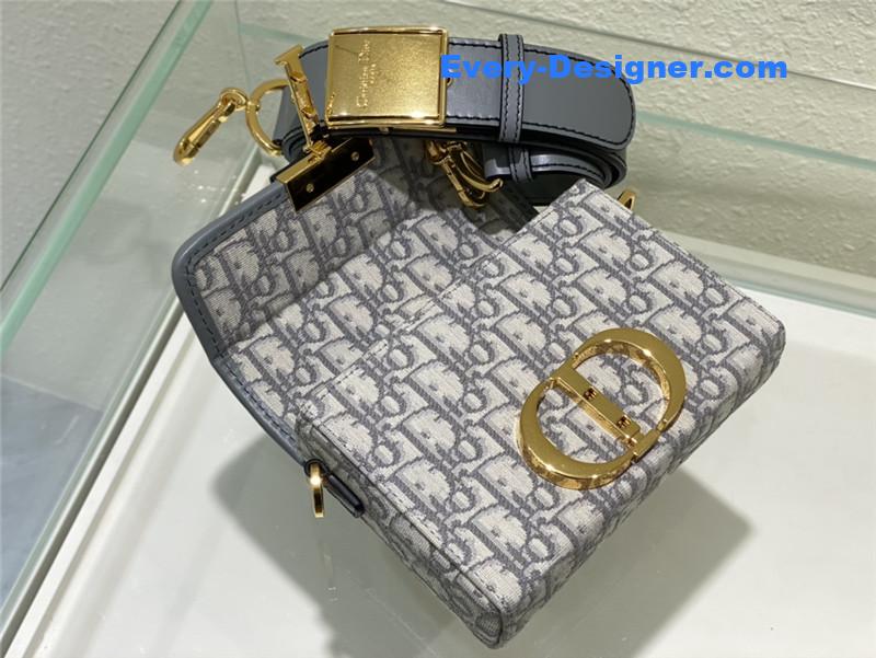 D10r 30 montaigne mini box bag