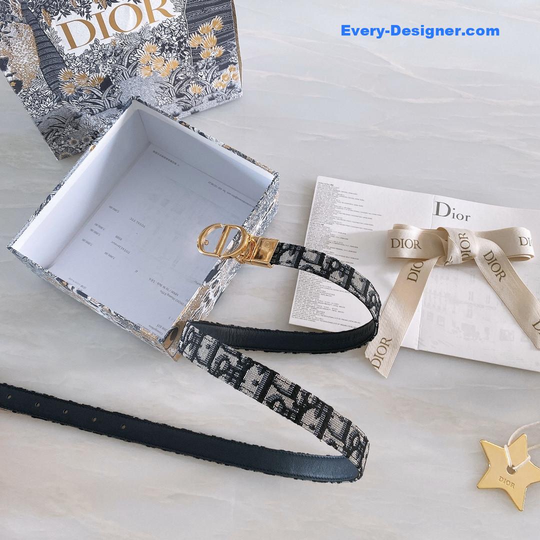 D10r montaigne cd belt